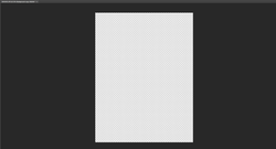 Image of blank Photoshop canvas